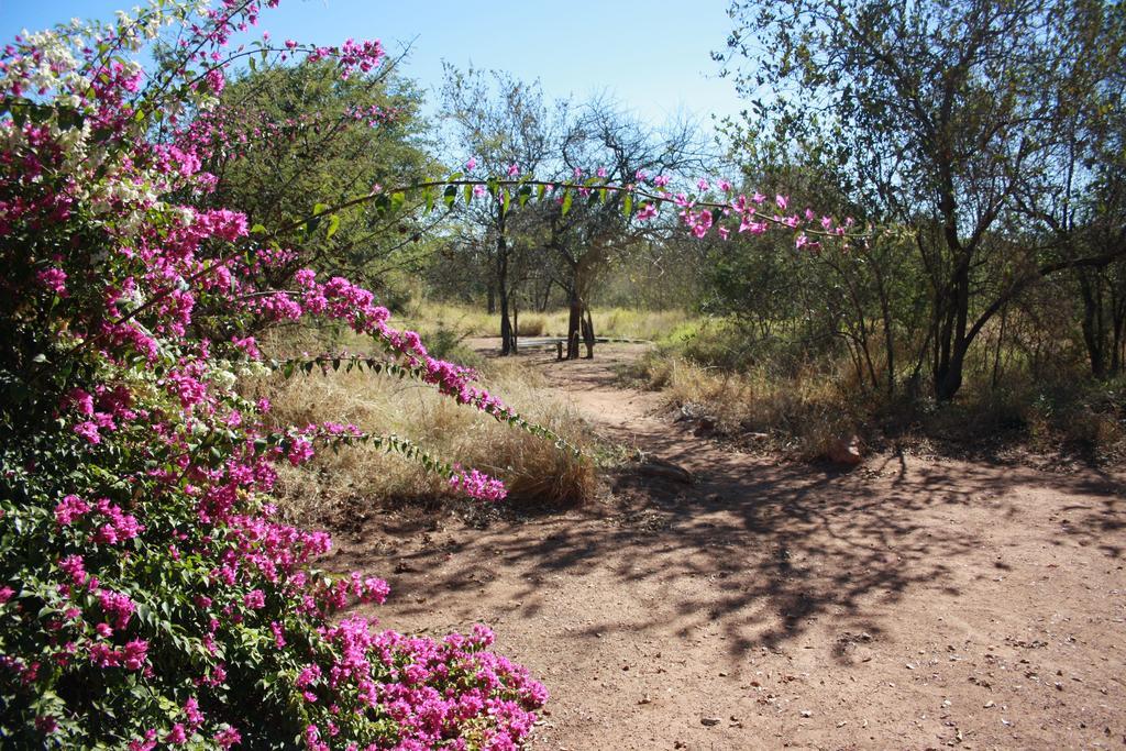 Normann Safari Bush Lodge Пхалаборва Экстерьер фото